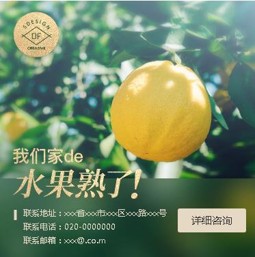 思南果园果林小程序开发